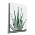 thumbnail image 2 of Epic Graffiti 'Summer Botanicals 2' by Rachel Nieman, Canvas Wall Art, 40"x54", 2 of 2