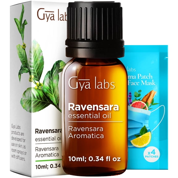 Gya Labs Ravensara Essential Oil for Diffuser - 0.34 Fl Oz - 100% Pure Natural Ravensara Oil for Skin, Hair, Aromatherapy & Candle Making Scent