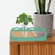 thumbnail image 5 of Tubo de vidrio de flores hidropónicas, tubo de propagación transparente, terrario de planta pequeña, florero, 4 Uds., 5 of 8
