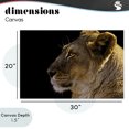 thumbnail image 5 of Stupell Industries Transitional Canvas Art, 30 x 20, by Danita Delimont, 5 of 9