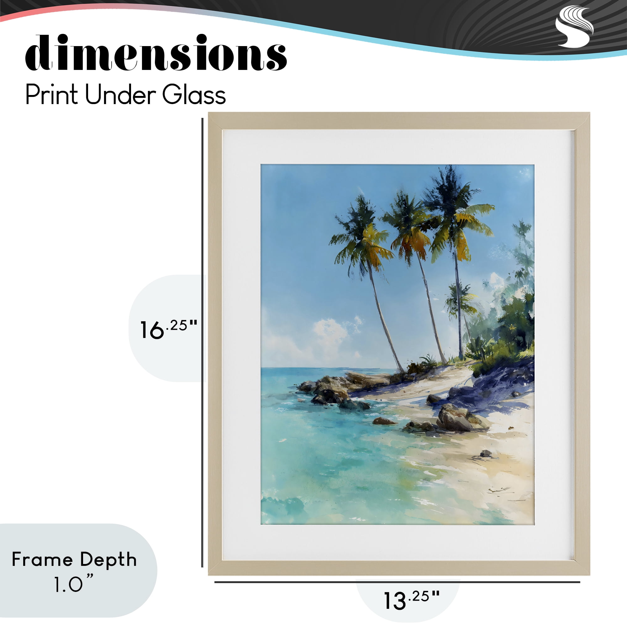 Stupell Industries Rocky Tropical Shore Birch Framed Print Under Glass, design by Franklyn Gregory