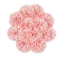 thumbnail image 1 of 10 piezas-Ping Pong crisantemo-polvo de otoño Xemadio HMHZ1122-3, 1 of 6