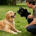 thumbnail image 2 of Interactive Cat Wrestler Puppet Toy for and Training Exercises, 2 of 3