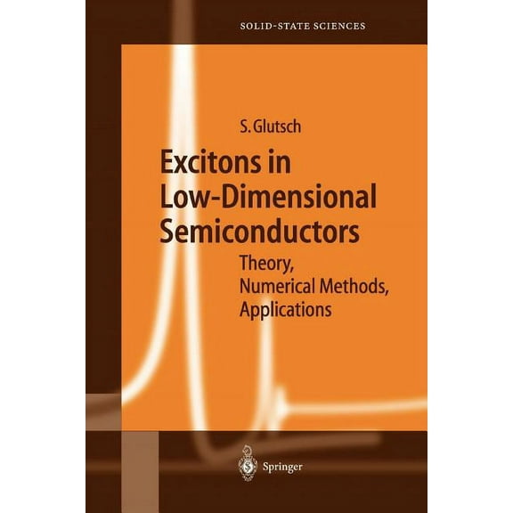 Springer Solid-State Sciences Excitons in Low-Dimensional Semiconductors: Theory Numerical Methods Applications, Book 141, (Paperback)