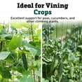 thumbnail image 5 of Folding Pea Trellis - Pea Plant, Cucumber, Vining Crop Support - Two, 7-Foot Long Fences, 5 of 5