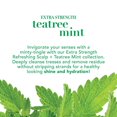 thumbnail image 3 of OGX Extra Strength + Tea Tree Mint Shampoo, 3 of 5