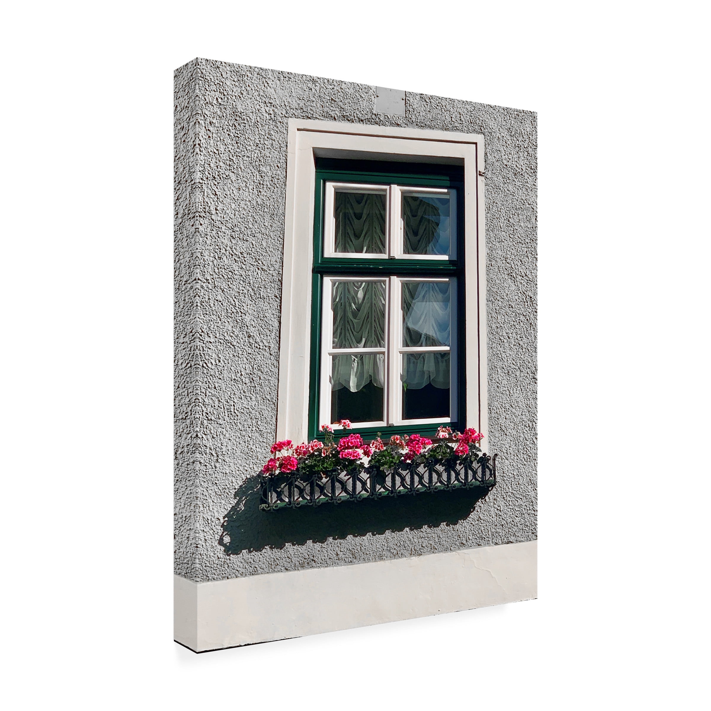 Susan Vizvary Photography 'Green Window Flowerbox Black and White' Canvas Art
