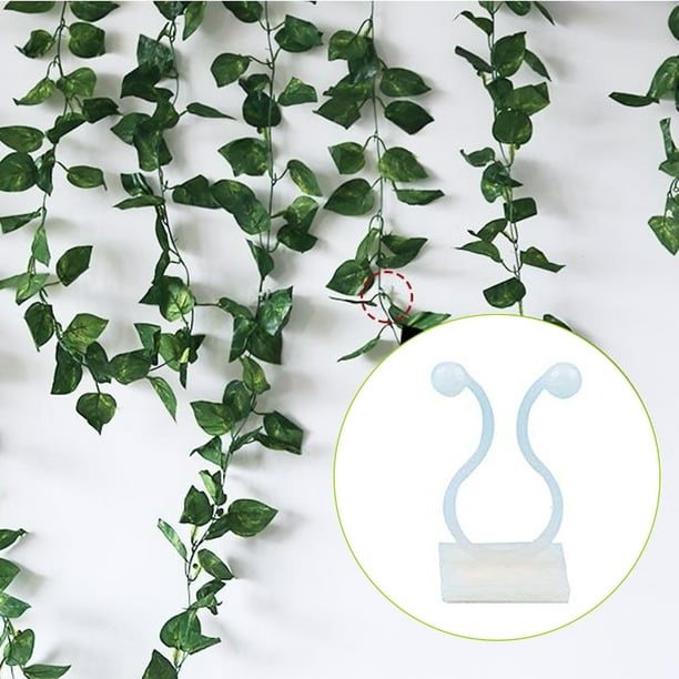 50 piezas de clips para fijación de plantas trepadoras, clips adhesivos para enredaderas de jardín, soporte fijo para enredaderas de pared