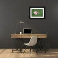 thumbnail image 3 of Chang, Cheng 24x17 Black Ornate Wood Framed with Double Matting Museum Art Print Titled - Pink And Green, 3 of 4