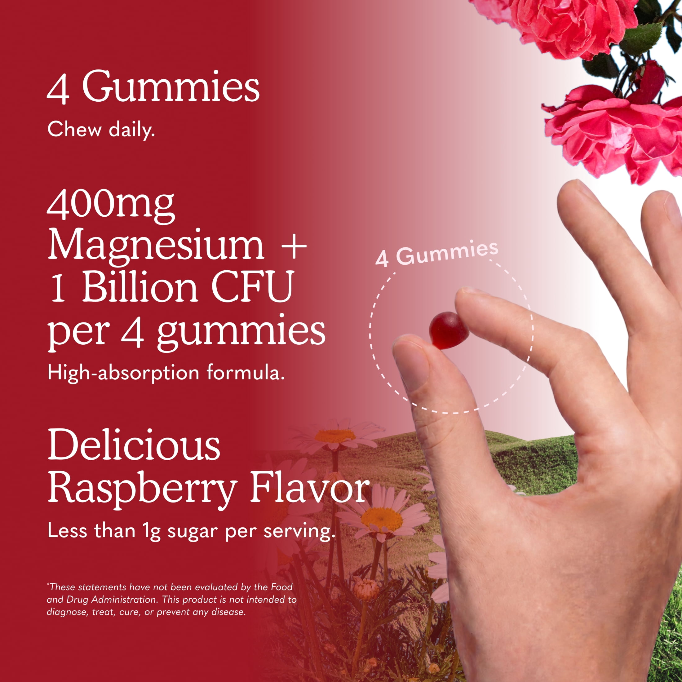 Garden of Life, Magnesium Gummies, Raspberry Flavor, 60 Gummies