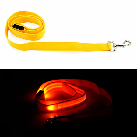 LED Glow Collar Dog Pet Flashing Light Night Safety Adjustable Leash Nylon