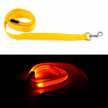 LED Glow Collar Dog Pet Flashing Light Night Safety Adjustable Leash Nylon