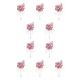 thumbnail image 3 of Ounissouiy Ramillete clásico Belleza atemporal para celebraciones de bodas Broches Ocasiones formales champán rosa champán rosado 10Conjunto, 3 of 6