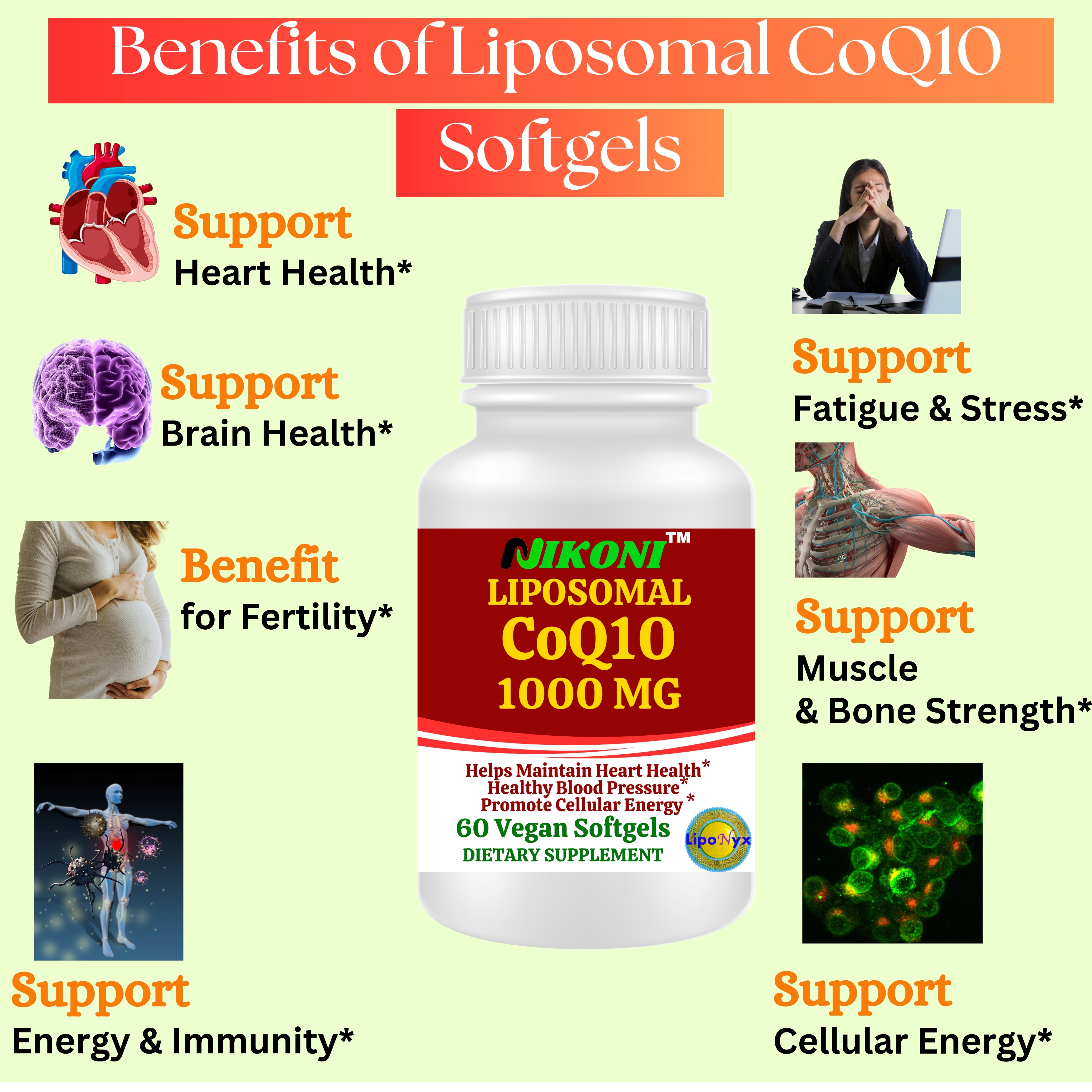 Nikoni Liposomal CoQ10 1000 mg Maximum Strength Supports Heart and Brain Antioxidant Support 60 Count Vegan Softgels