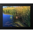thumbnail image 2 of Popcorn 14x12 Black Modern Framed Museum Art Print Titled - Coot on water, 2 of 5