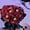 Red, variant on Artificial Black Rose with Eyeball Halloween Skeleton Hand Floral Stem Creepy Faux Flowers for Gothic Home Decor Spooky Party Scene Layout, 14 Inch Black