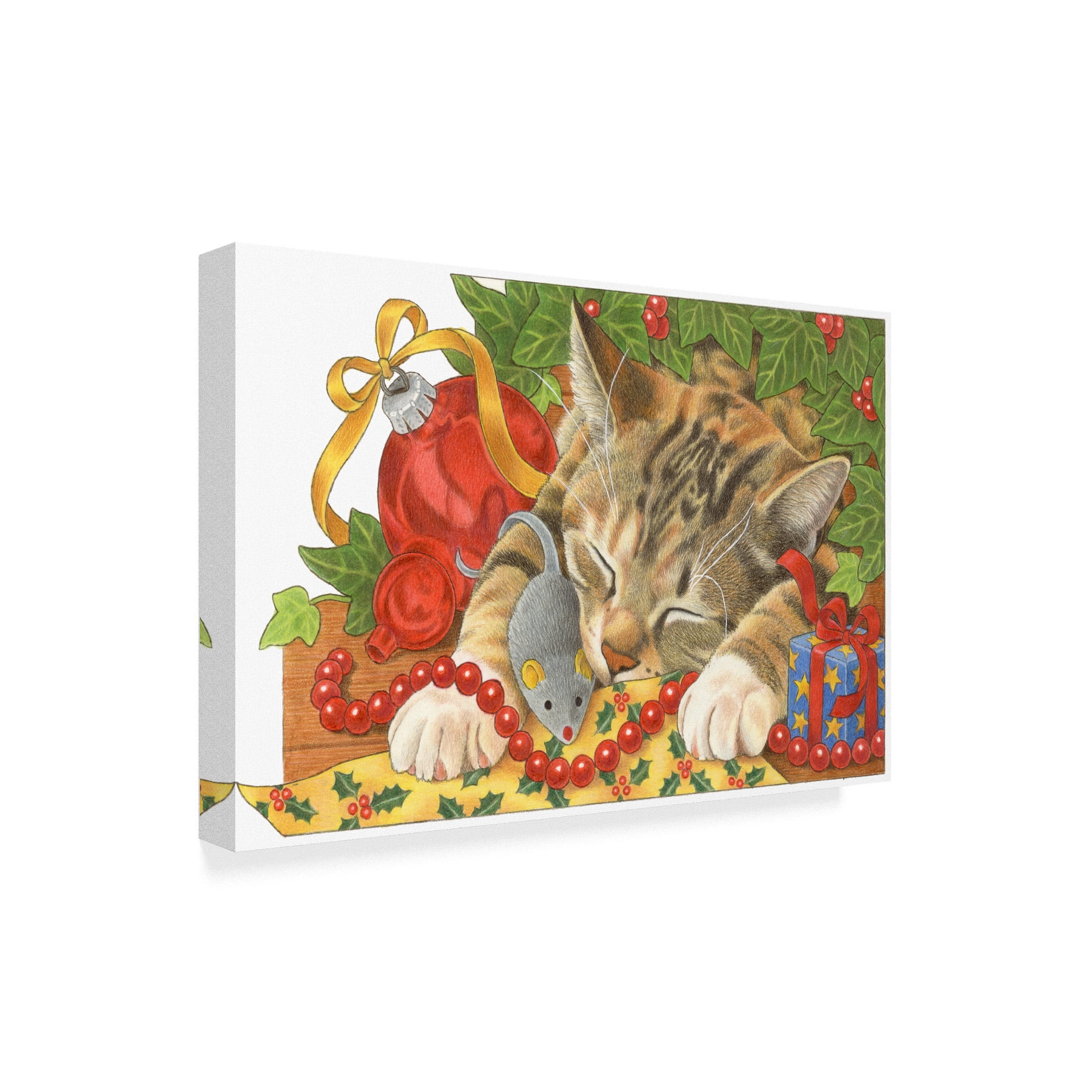 Trademark Fine Art 'Christmas Cat Sleeping' Canvas Art by Francien Van Westering