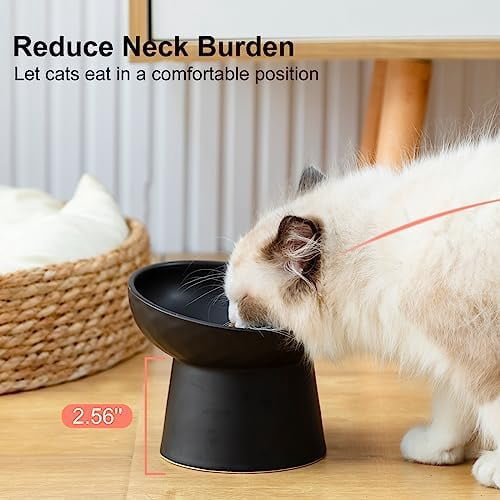 Ceramic Raised Cat Bowls, Elevated Tilted Cat Food and Water Bowls Set, Stress Free Pet Feeding Dish for Indoor Cats and Small Dogs, Anti Vomiting, Black, 2 Pack