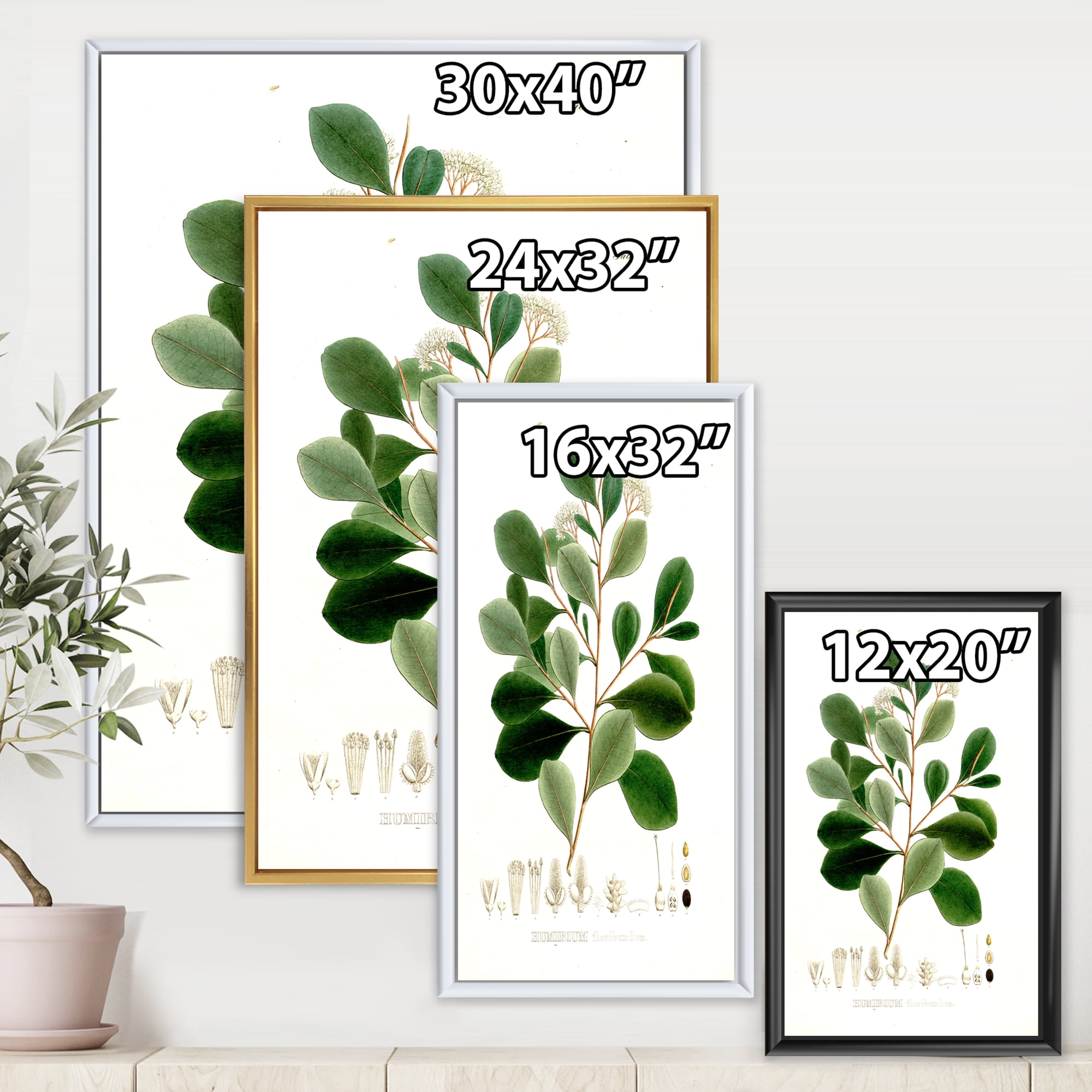 Designart 'Ancient Botanicals IV' Traditional Framed Canvas Wall Art Print