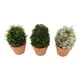 thumbnail image 4 of Juego de 3 plantas artificiales Nikou en macetas de plástico, 4 of 15