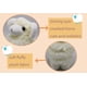 thumbnail image 4 of Adorables animales de peluche de oveja, lindos juguetes de peluche de oveja, muñecos de cordero adorables súper suaves, lindos regalos para niños, niños y niñas, regalos de cumpleaños o fiestas, 32 cm, blanco ER, 4 of 7