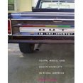 thumbnail image 1 of Out in the Country: Youth, Media, and Queer Visibility in Rural America, 1 of 2