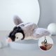 thumbnail image 1 of Xihbxyly Juguete para Mascotas con Aleteo, Movimiento Realista de Pájaro, Recargable Por Usb, Función de Vibración Automática, Interacción con Mascotas, Diseño Suave y Brillante, Ideal para Perros y, 1 of 3