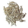 thumbnail image 2 of 50x dijes colgantes de de aleación, colgantes de pesca de animales marinos, suministros artesanales para DIY, collar, pulsera, fabricación de Argén BLESIY Encantos de espina de pescado, 2 of 8