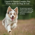 thumbnail image 2 of Rx Vitamins Amino B Plex for Pets - B Vitamin Complex Plus Amino Acids for Dogs & Cats - Vitamin Supplements for Dogs' & Cats' Total Body Support - 4 oz, 2 of 6