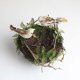 thumbnail image 1 of 12 Unids Espuma de Simulación Artificial Plumas de Aves Adornos de Gorrión DIY Artesanía para Decoración de Bodas Hogar Jardín Establecimiento Perfecl Pájaros Artificiales, 1 of 8