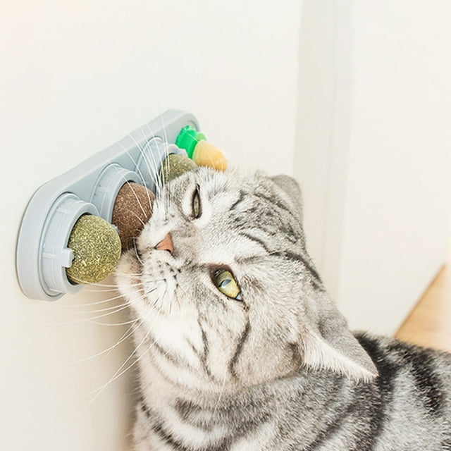Bolas de hierba gatera divertidas Suministros para gatos Juguete de hierba gatera Resistencia a mordeduras para gatos domésticos (Blanco) Ehuebsd Para estrenar