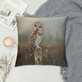 thumbnail image 2 of Orinice Owl Graphic Decorative Throw Pillow Cover for Home Couch Living Room Bed Sofa with Zipper Closure - Printed on Both Sides - 1PC 20x20in, 2 of 5