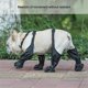 thumbnail image 2 of Dog Shoes Waterproof Adjustable Dog Boot Rain Day Pet Breathbale Shoes for Outdoor Walking Soft French Bulldog Paws-M, 2 of 5