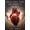 colour-7, variant on Healing the Prophet's Heart, (Paperback)