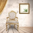 thumbnail image 3 of Bradley, Felicity 12x12 Gold Ornate Wood Framed with Double Matting Museum Art Print Titled - Succulent Simplicity II Neutral, 3 of 4