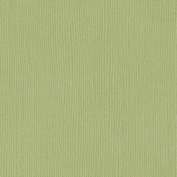 Bazzill Mono Cardstock 12"X12"-Pear/Canvas