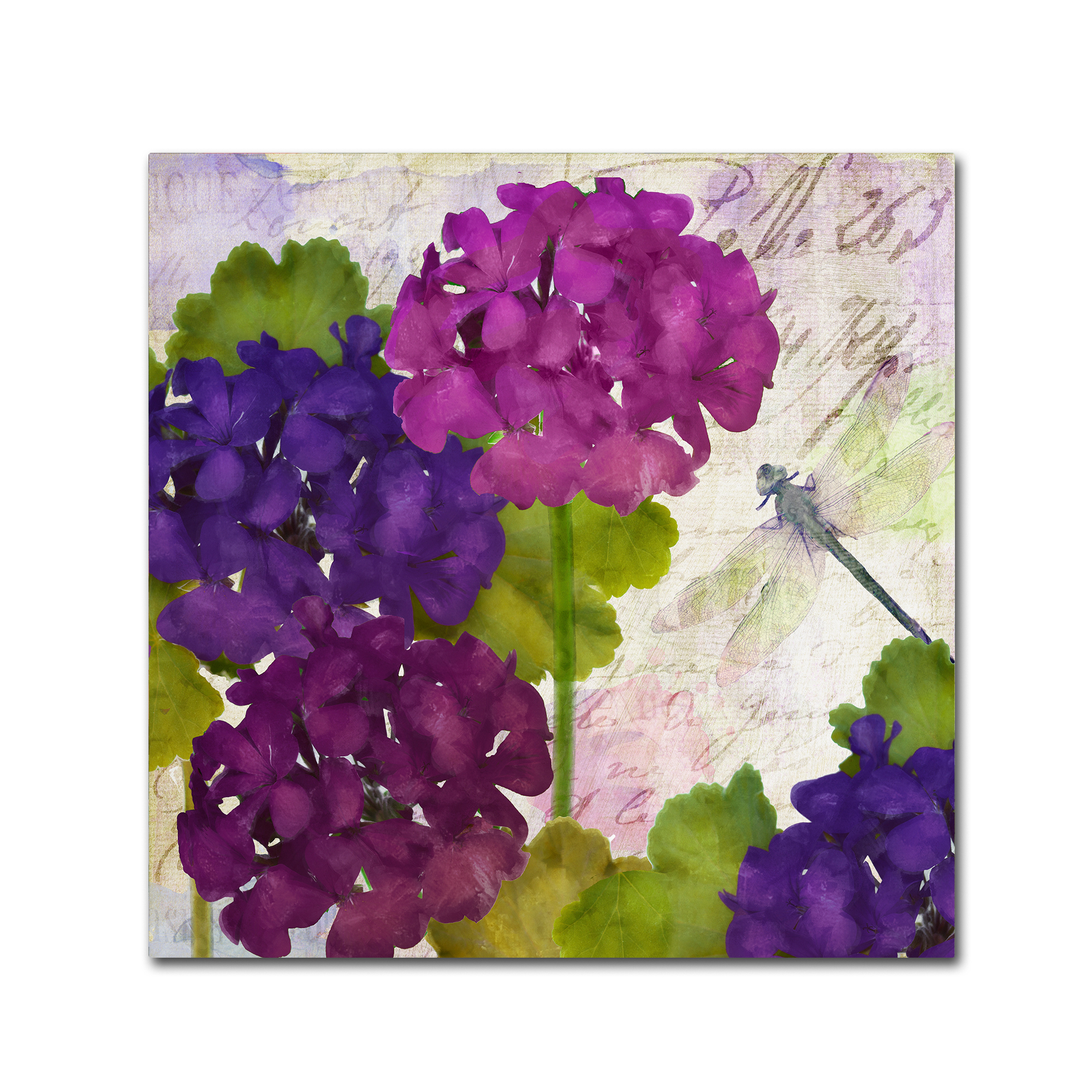 Trademark Fine Art "Gaia II" Canvas Art by Color Bakery