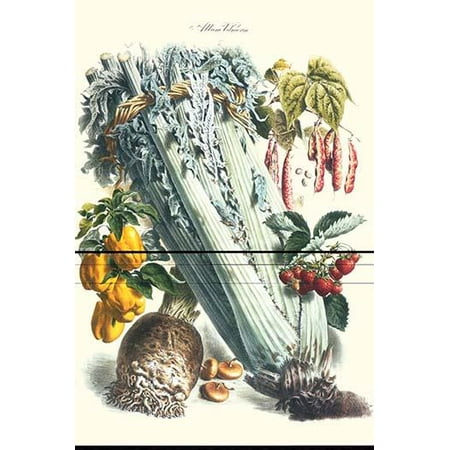 Catalogs For Home Decor French Country Vegetables Celery Bell Peppers Strawberries and Legumes Illustration from a famous French seed catalog and the vegetables that can be grown Poster Print by Philippe-Victoire Levque de Vilmorin ()