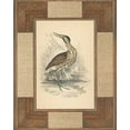thumbnail image 2 of Reynolds, Alastair 26x32 Black Ornate Wood Framed with Double Matting Museum Art Print Titled - Marshland Bittern, 2 of 4