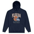 thumbnail image 1 of University Of Florida  Adult American Football Helmet Hoodie, 1 of 2