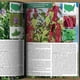 thumbnail image 4 of La Guía Los Recolectores Alimentos Silvestres Libros en Inglés Páginas Interiores Color Bolsillo, 4 of 5