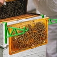 thumbnail image 4 of Hyasfey Beehive Frame Holder Heavy Duty Plastic Beekeeping Grip Frame Perch Bee Hive Stand Support Rack Bracket Beekeeping Equipment Apiarist Tools, 4 of 7
