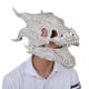 thumbnail image 5 of Sombrero De Máscara De Hueso De Dragón De Simulación De Halloween Moyic HA036903-00, 5 of 6