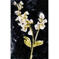 thumbnail image 2 of Goldberger, Jennifer 13x18 Gold Ornate Wood Framed with Double Matting Museum Art Print Titled - Midnight Phlox I, 2 of 4