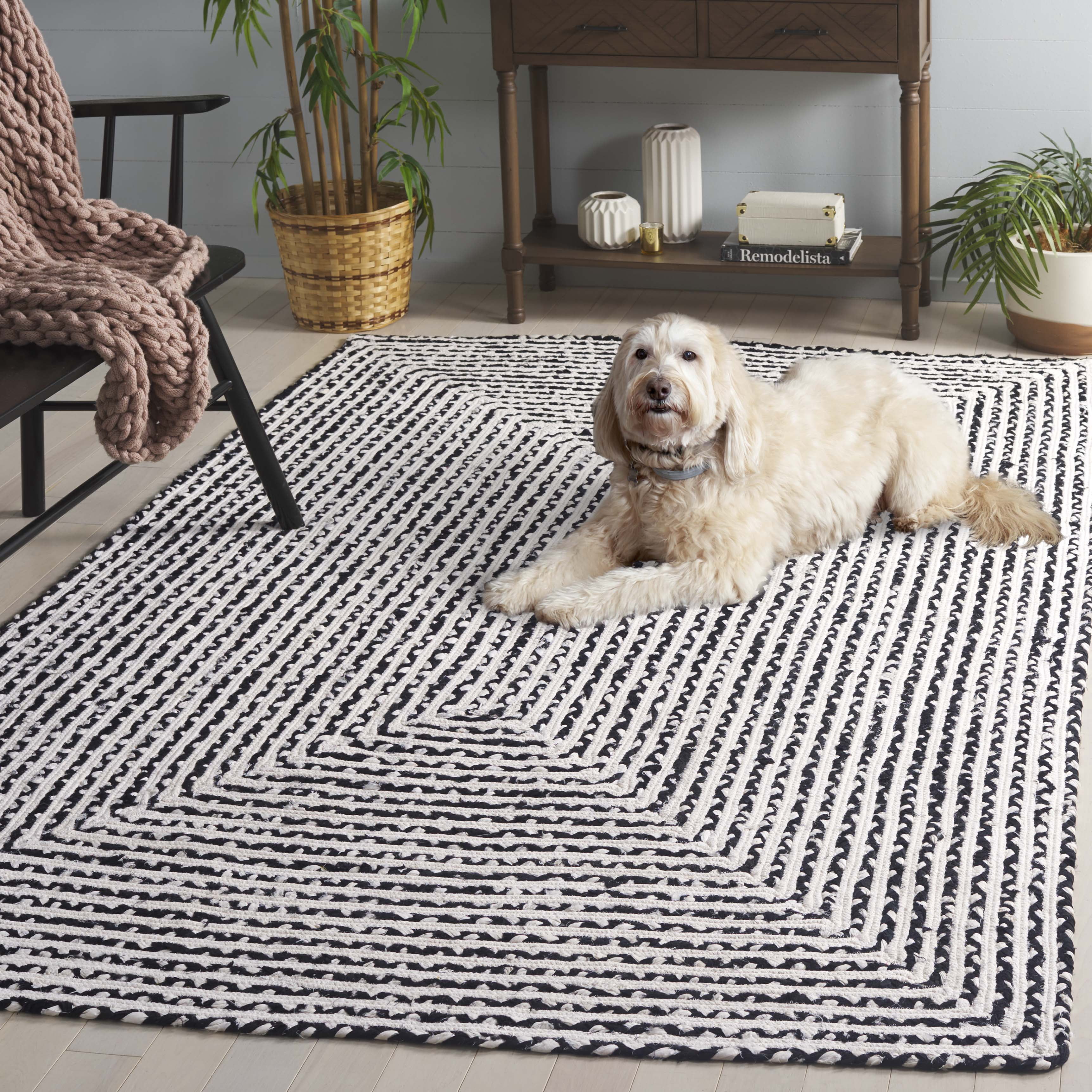 SAFAVIEH Braided Anabella Bordered Cotton Reversible Area Rug, Black/Ivory, 6' x 9'
