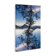 thumbnail image 3 of Stupell Industries Tree & Mountain Symmetry Canvas Wall Art design by Robin Vandenabeele, 24 x 16, 3 of 7