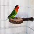 thumbnail image 5 of Natural Tree Wood Pet Parrot Raw Wood Fork Tree Branch Stand Rack Squirrel Bird Hamster Branch Perches Chew Bite Toys, 5 of 8