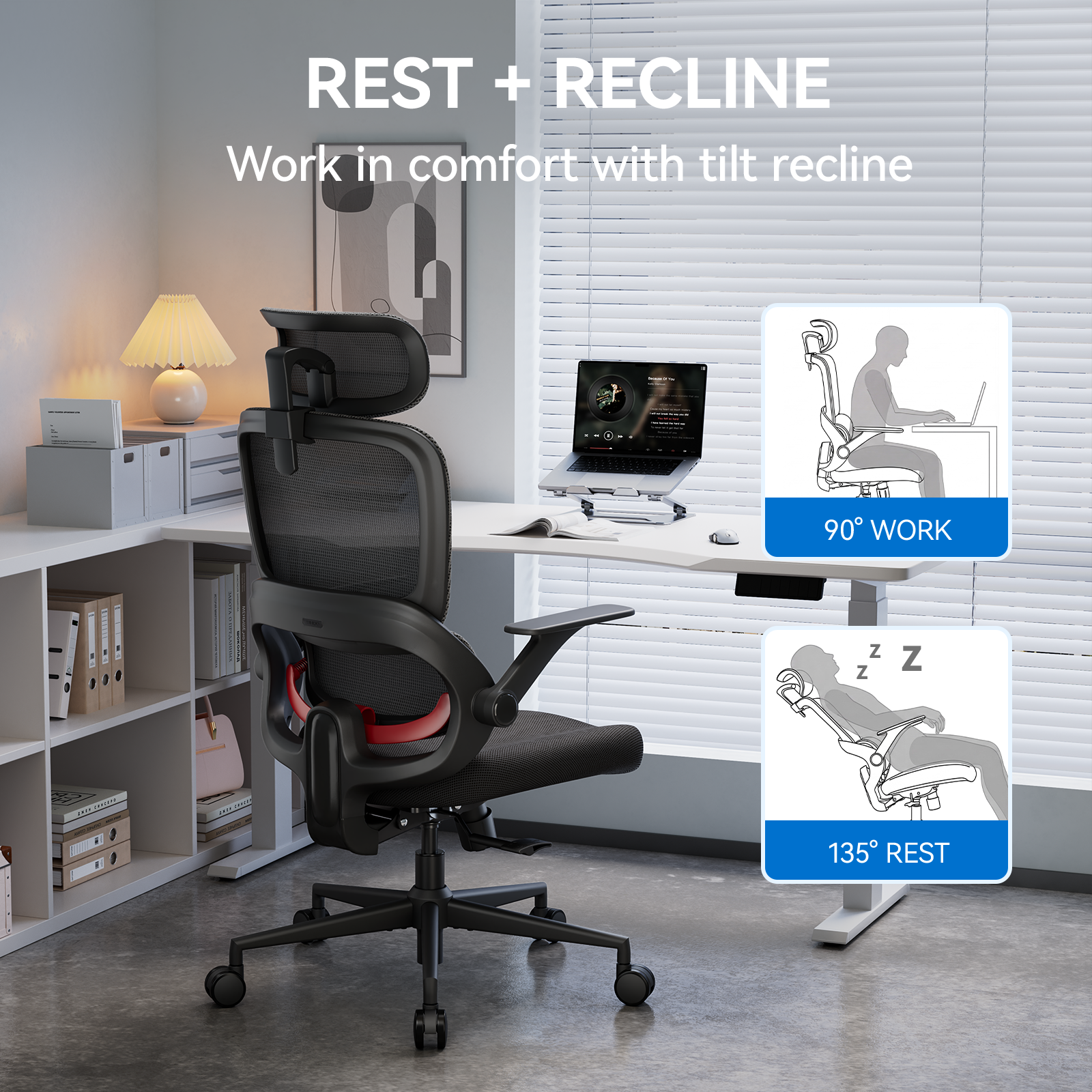 Sihoo B100 Se Ergonomic Office Chair with Dual-Back photo 3