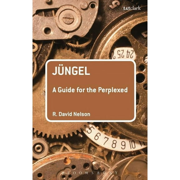 Guides for the Perplexed Jüngel: A Guide for the Perplexed, (Paperback)