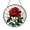 Acrylic 3.5 Inch, variant on Rose Panel Stained Glass Pattern Design File, Floral Window Suncatcher Art Template, Decorative Stained Glass Style Flower Pattern for DIY Glass Art Projects